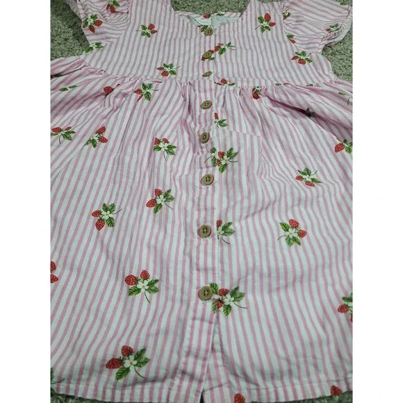 Next Pink Strawberry Stripe Button-Up Dress 4-5 years - Picture 2 of 6